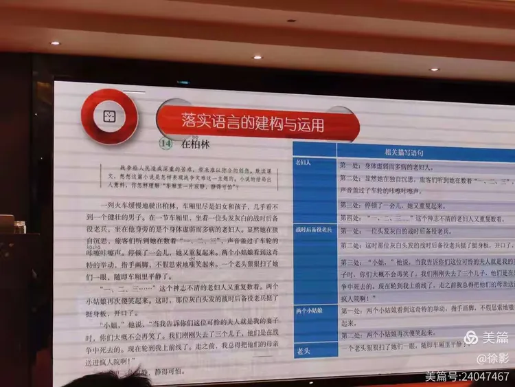 今期生肖落风尘，蛇去骏马飞奔到是什么生肖与警惕虚假宣传-全面释义、构建解答解释落实